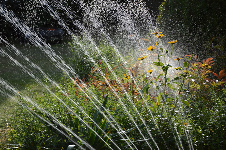 Die Regenwassernutzung im Garten Die Regenwassernutzung im Garten